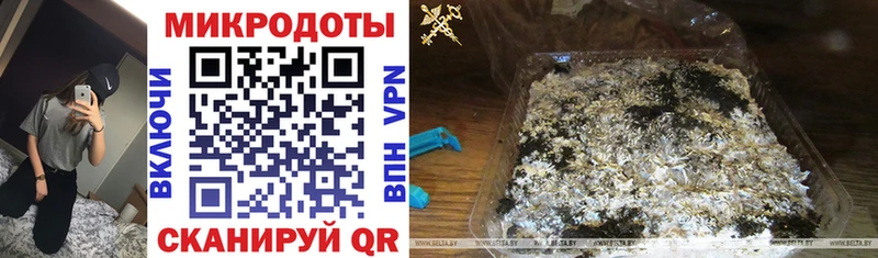 Псилоцибиновые грибы Psilocybe  Купить  Ржев 